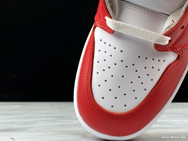 CQ4921-601 '85 Retro Air 'New Beginnings' OG Jordan High 1 0624